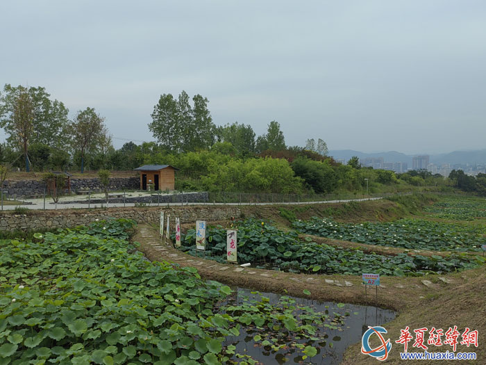 臺灣農(nóng)民創(chuàng)業(yè)園富硒水產(chǎn)養(yǎng)殖區(qū)。