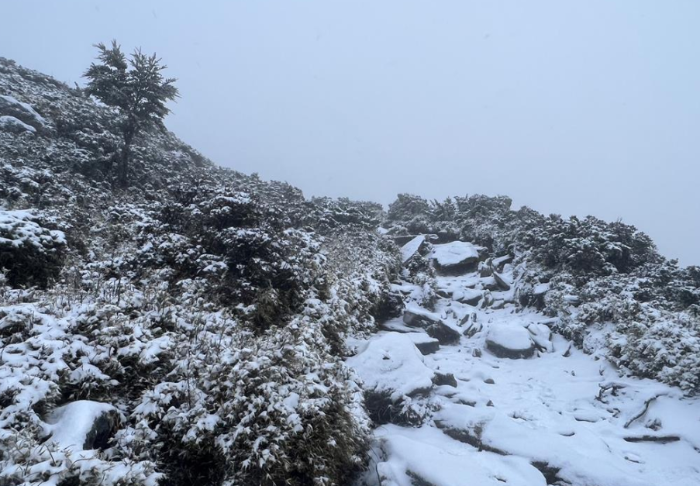 嘉明湖步道過9公里處山區(qū)降雪畫面