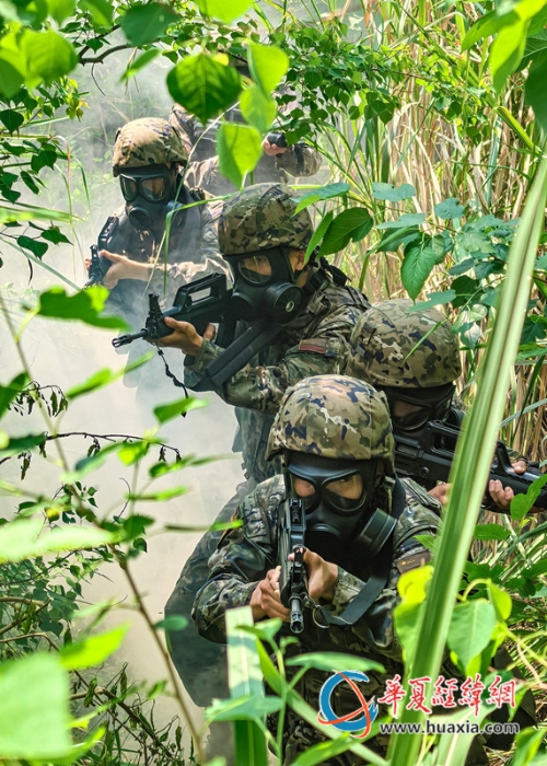 1、官兵開展山林地搜索。施晨洲 攝_副本