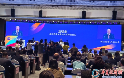 海峽兩岸關(guān)系協(xié)會常務(wù)副會長龍明彪發(fā)言