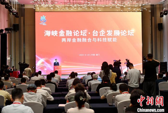 海峽金融論壇·臺(tái)企發(fā)展論壇